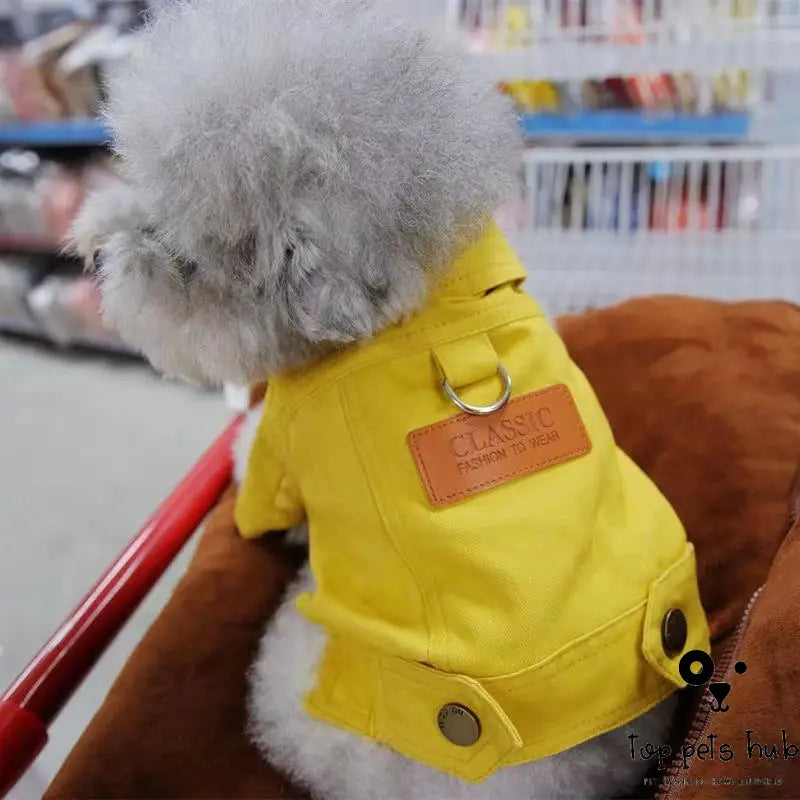 Stylish Denim Traction Jacket for Dogs and Cats