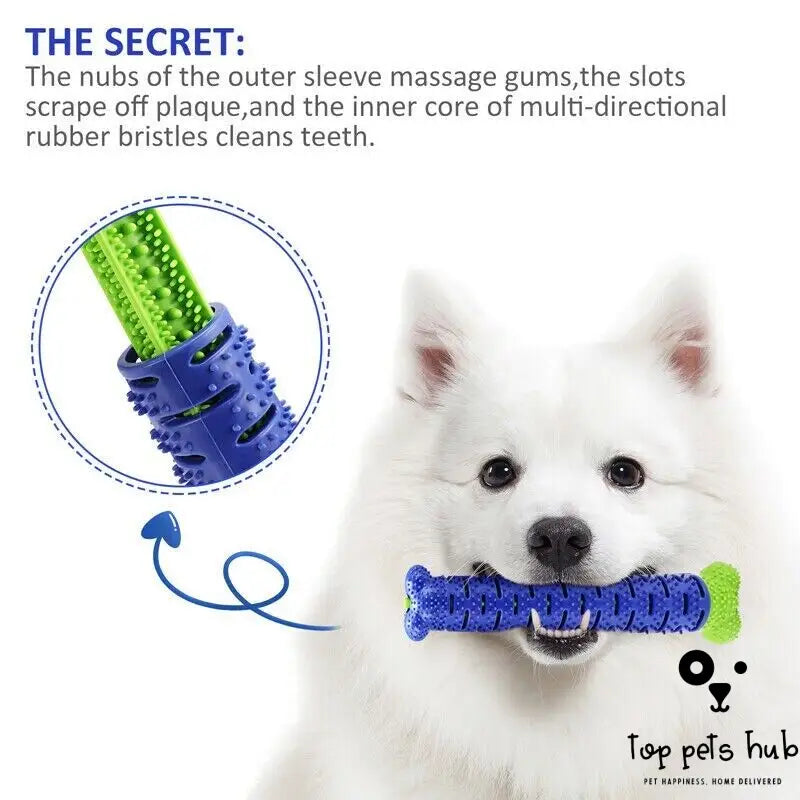 Chew Toys for Aggressive Chewers