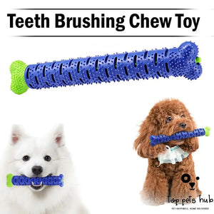 Chew Toys for Aggressive Chewers