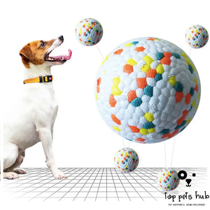 Molar Pet Toy Ball