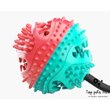 DentalChew Pet Toothbrush Chew Toy