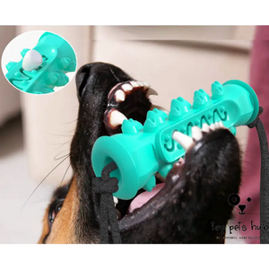 DentalChew Pet Toothbrush Chew Toy