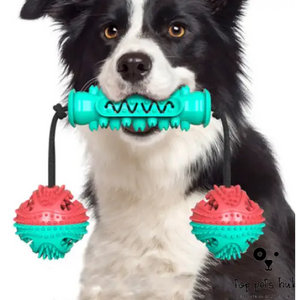 DentalChew Pet Toothbrush Chew Toy