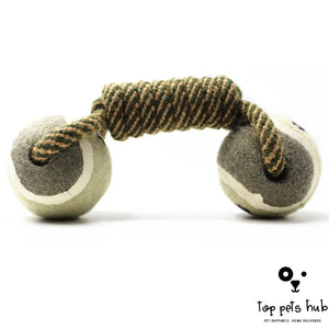 Dumbbell Rope Tennis Ball