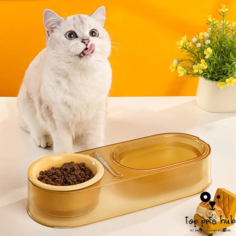 Mixed Spoon Pet Food Bowl