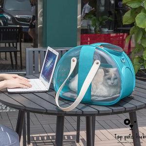 Transparent Dog Backpack