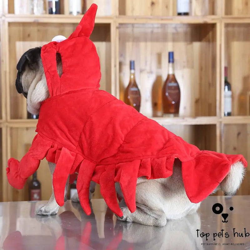 Red Aussie Dragon Pet Costume