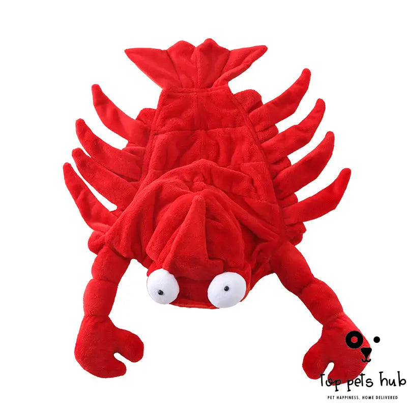 Red Aussie Dragon Pet Costume