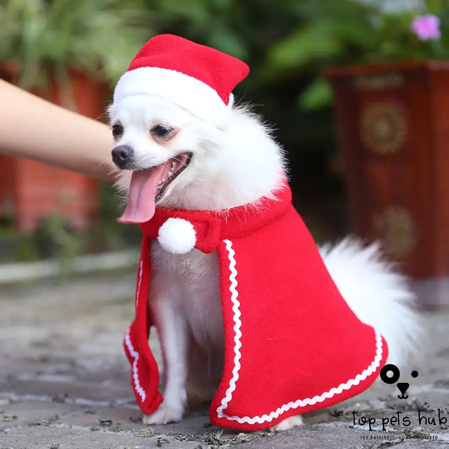 Stylish Red Dress Pet Dog Cloak Suit