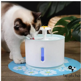 Pet Water Fountain