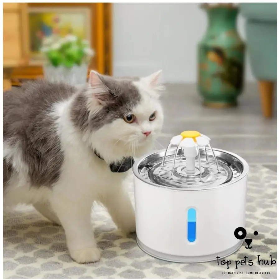 Pet Water Fountain