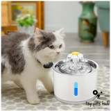 Pet Water Fountain