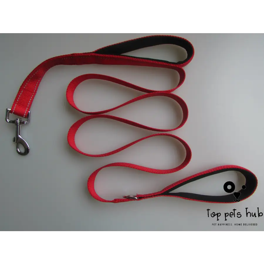 Dual Handle Pet Leash