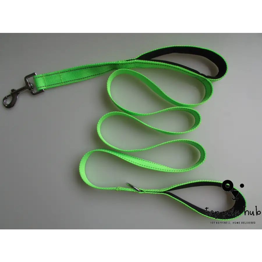 Dual Handle Pet Leash