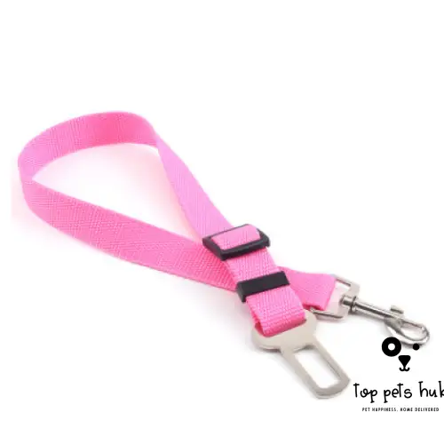 Polyester Dog Leash