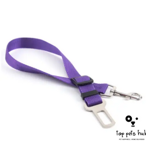 Polyester Dog Leash