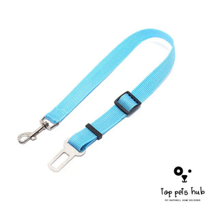 Polyester Dog Leash