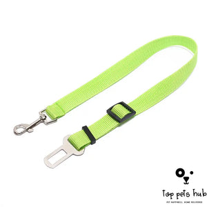 Polyester Dog Leash