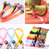 Polyester Dog Leash