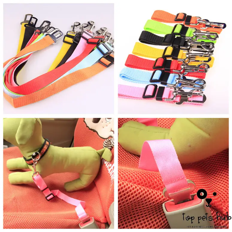 Polyester Dog Leash