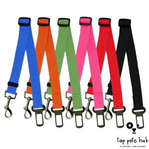 Polyester Dog Leash