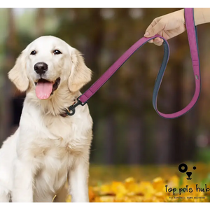Pull-resistant Leather Dog Leash