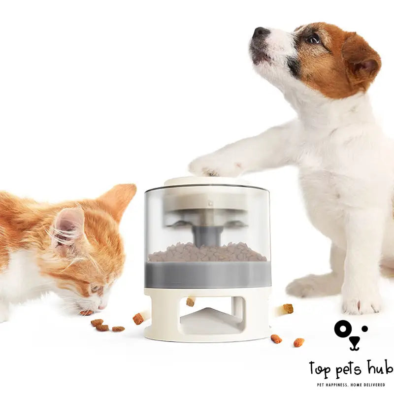 Pet Food Dispenser