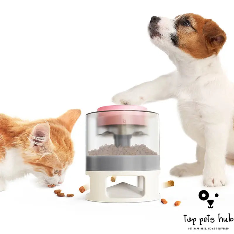 Pet Food Dispenser