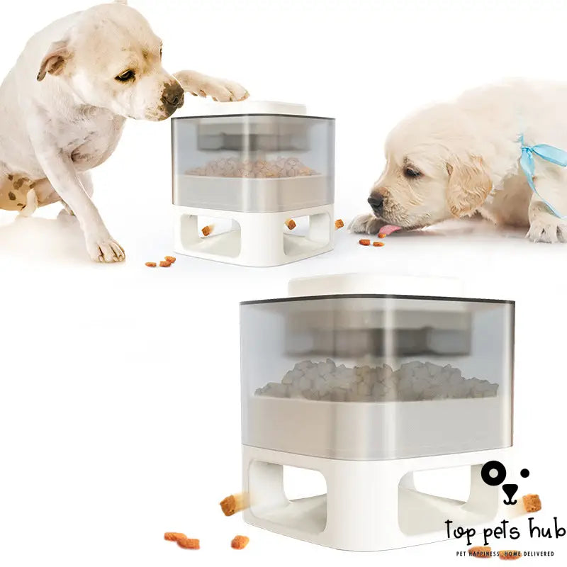 Pet Food Dispenser