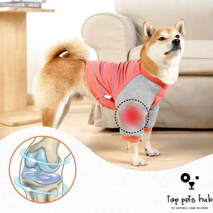 Dog Elbow Protection Pads