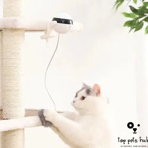Electronic Motion Cat Toy