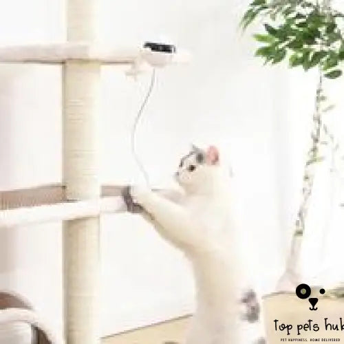 Electronic Motion Cat Toy