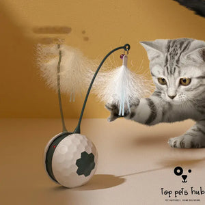 IntelliPlay Electric Intelligent Cat Toy