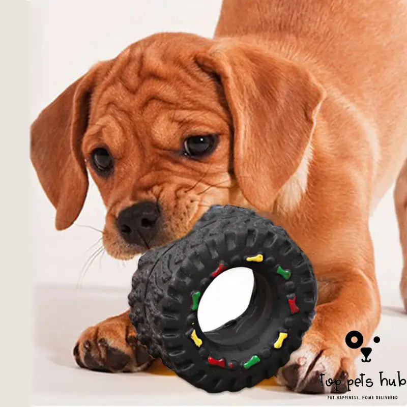 Tire Pet Toy