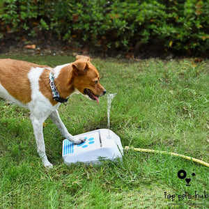 Outdoor Dog Water Feeder