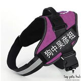 Explosion-proof Dog Chest Back Strap