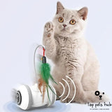 FeatherChase Interactive Cat Toy