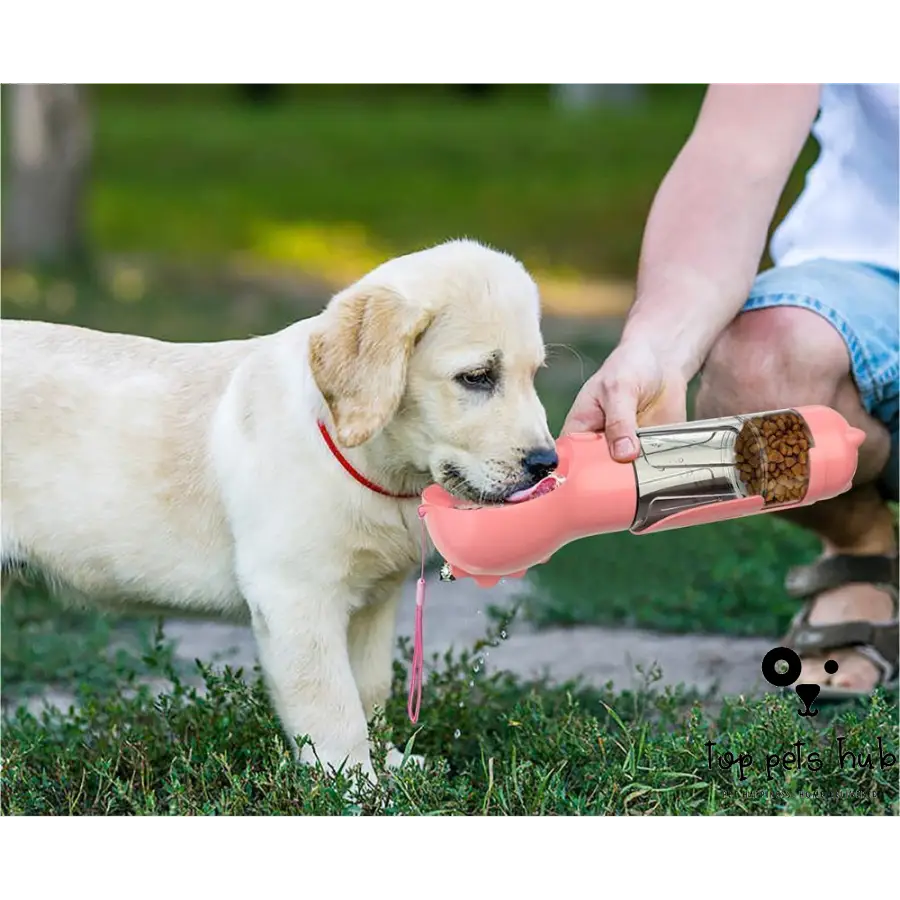 3-in-1 Portable Pet Water and Food Bottle with Garbage Bag