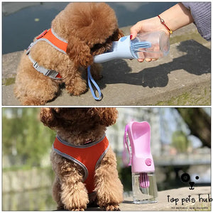 AquaPet Portable Water Bottle and Feeder