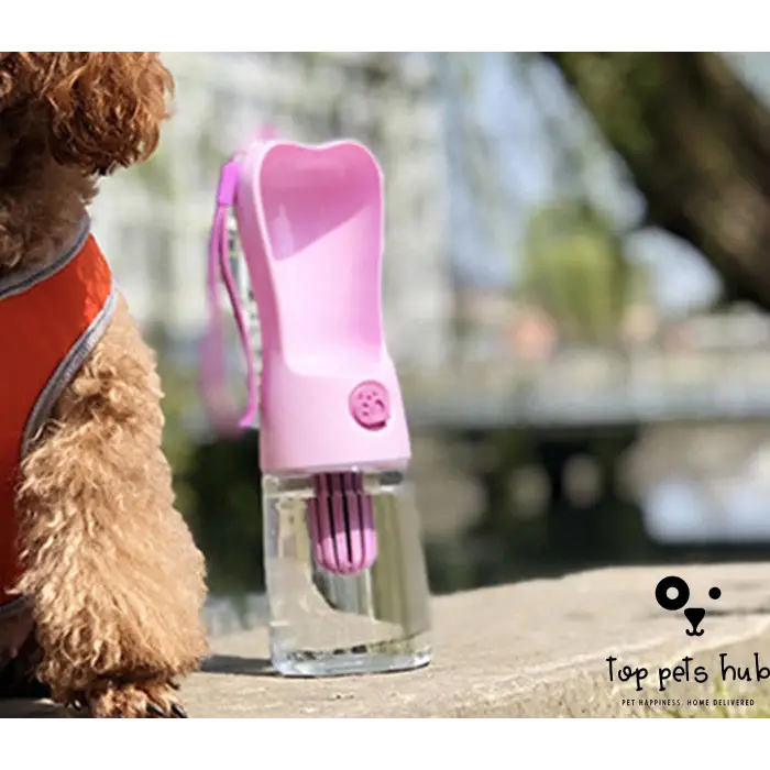 AquaPet Portable Water Bottle and Feeder