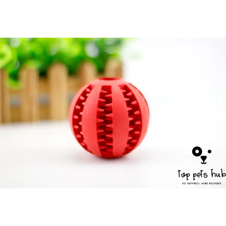 MintyFeed Rubber Feeding Ball with Food Storage