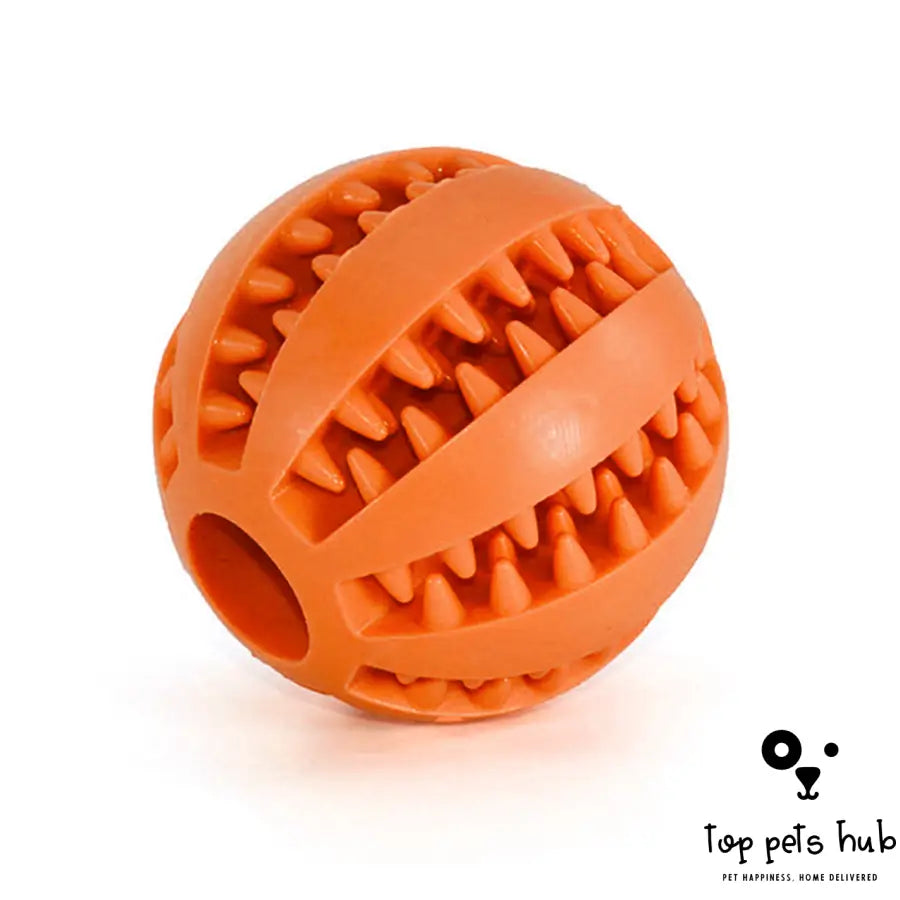 MintyFeed Rubber Feeding Ball with Food Storage