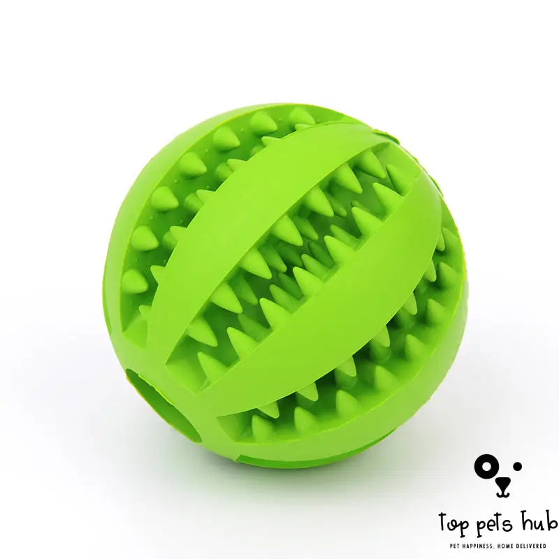 MintyFeed Rubber Feeding Ball with Food Storage