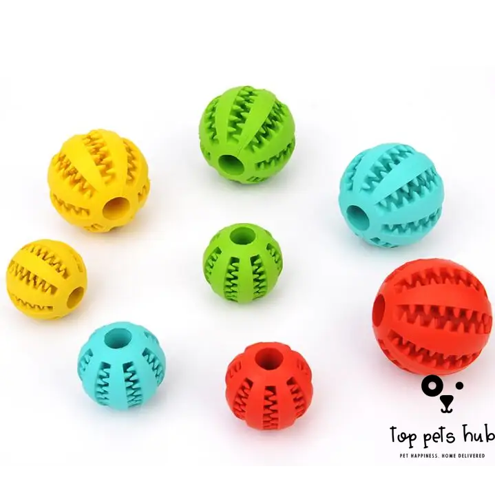 MintyFeed Rubber Feeding Ball with Food Storage