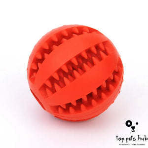 MintyFeed Rubber Feeding Ball with Food Storage