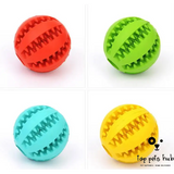 MintyFeed Rubber Feeding Ball with Food Storage