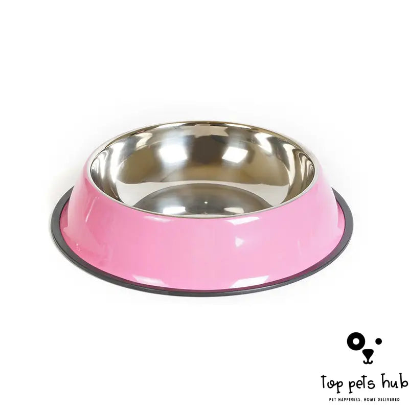 DineWell Pet Bowl Feeding Basin