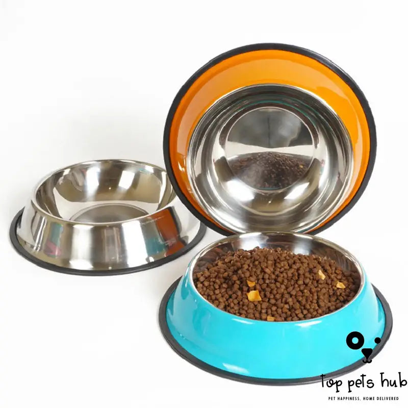 DineWell Pet Bowl Feeding Basin