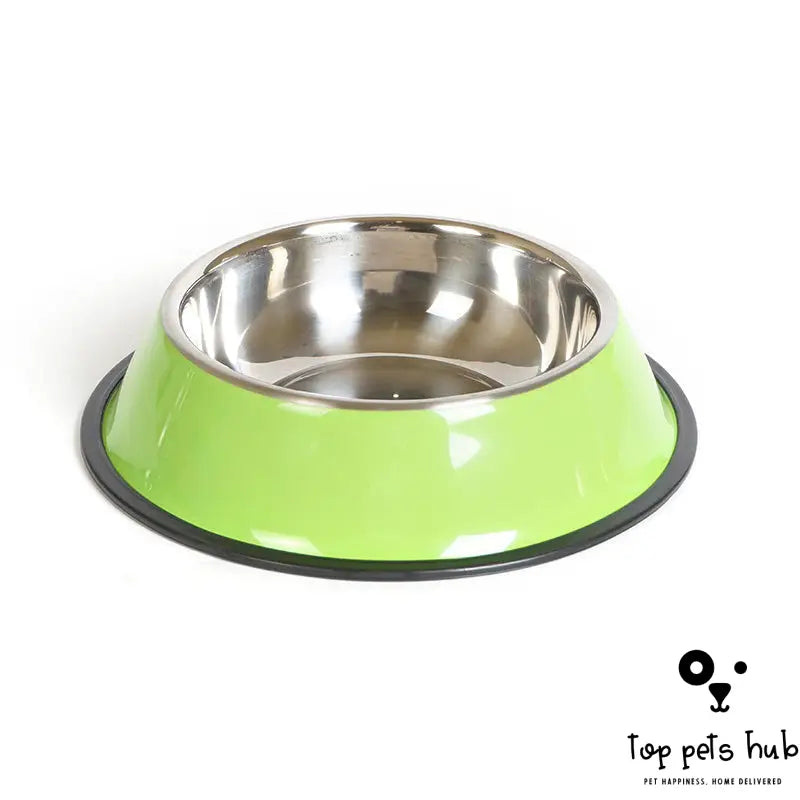 DineWell Pet Bowl Feeding Basin