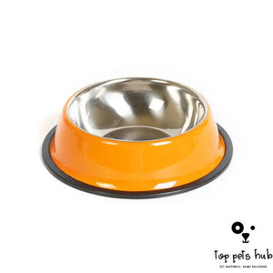 DineWell Pet Bowl Feeding Basin